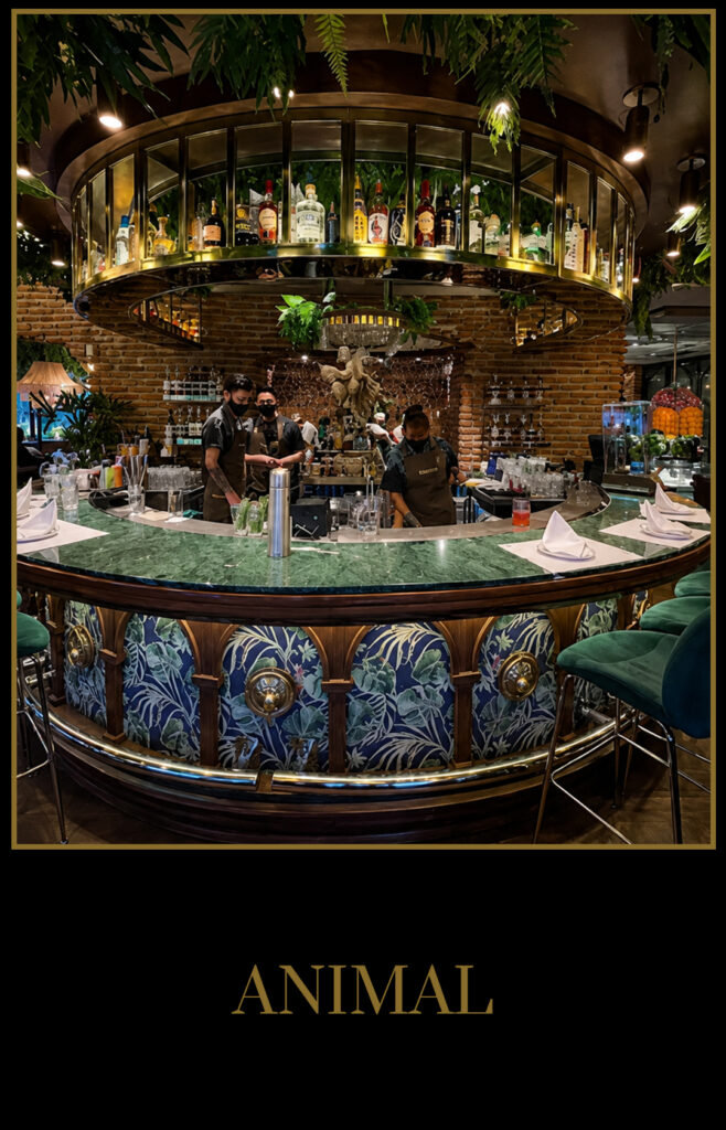 Animal_Restaurant_V03
