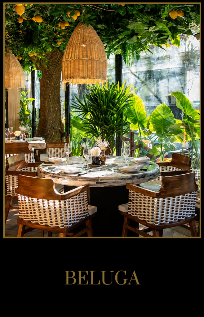 Beluga_Restaurant_V03