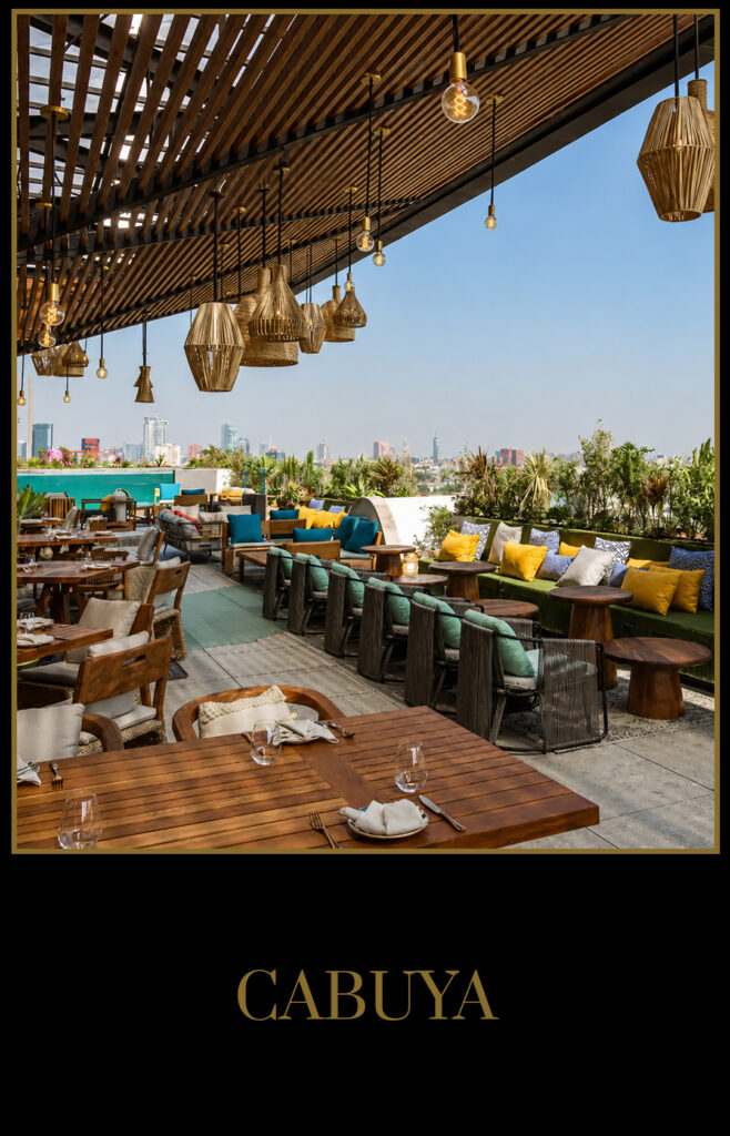 Cabuya_Rooftop_V03