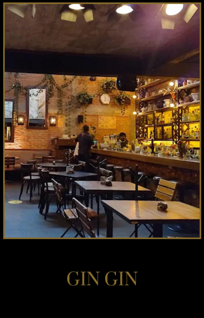 GinGin_Bar_V02